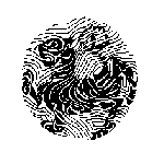 tigre (67854 bytes)