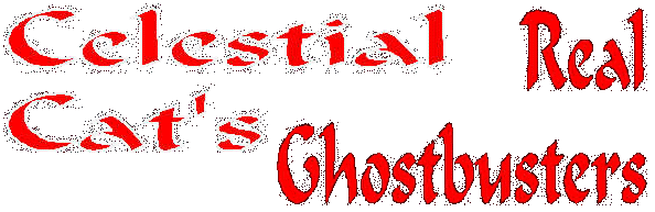 Real Ghostbusters Main Page