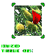 phys.gif (2360 Byte)