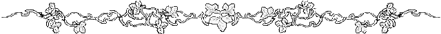 Leaf Separator