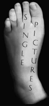 [Single Pictures]