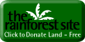 Click here to save the rainforest: www.therainforestsite.com
