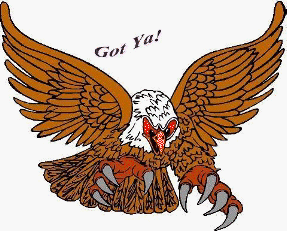 A picture of an Eagle