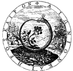 wither2.gif (11565 bytes)