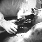 Roswell 5