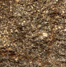 Quartz Monzonite.JPG (93816 bytes)