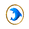 DolphinRing Link