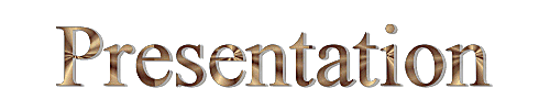 [Web Site Presentation - Image]