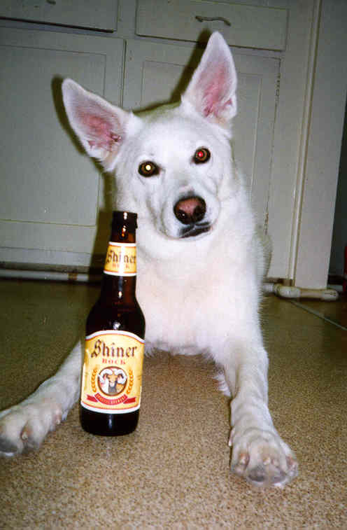 Making the beer run in San Antonio