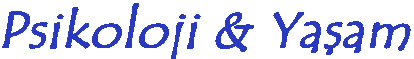 p&y.jpg (14587 bytes)