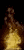 flame2.gif (4224 bytes)
