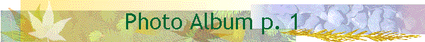 Photo Album p. 1
