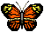 bEtterfly