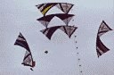 kite