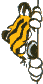 Calvin and Hobbes