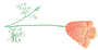 poppy by DLO
