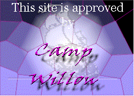Camp Willow Award