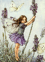 faerie pic