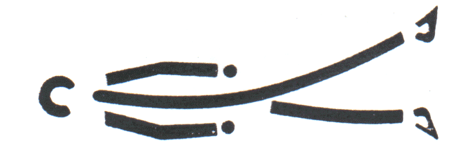 Shavasana