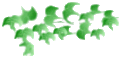 vinesidetrans3.gif (3600 bytes)