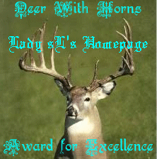 Award Of Excellence