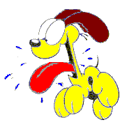 Odie