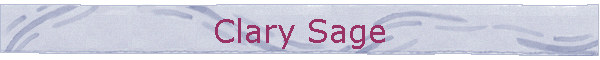 Clary Sage