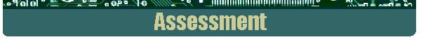 Assessment