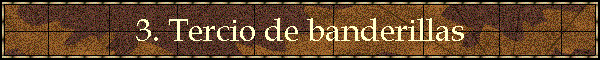3. Tercio de banderillas