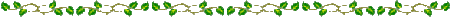 leaves bar
