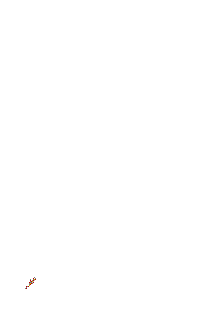 Alegria.gif (34994 bytes)