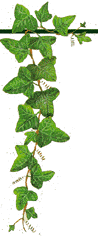 left_leaf