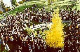 This is our school!