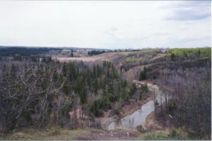 Fish Creek in early May