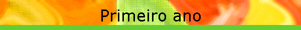 Primeiro ano