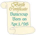 Buttercup's Birth Certificate