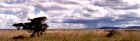 2001rain.JPG (203993 bytes)