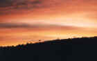 Sunset near the Serengeti Sopa Lodge