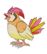 pigeotto.gif (14303 bytes)