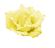 rose2.gif (2899 bytes)