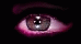 /user/eye4.gif