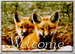 foxwel.gif - 44.19 K