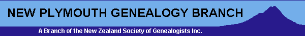 NP Header logo
