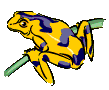 Tree-Frog7.gif (8324 bytes)