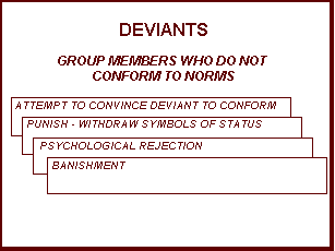 group07.gif (3781 bytes)