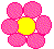 Pink Flower