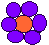 Purple Flower