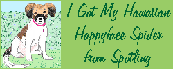 Spot's Logo
