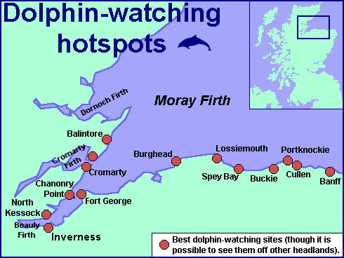 Dolphin Hotspot Map
