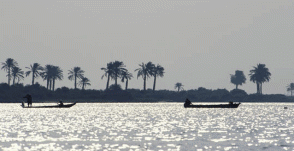 evening dijla